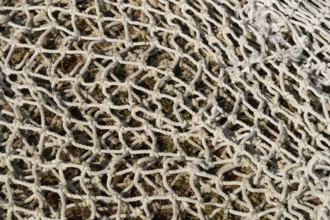 Fishing net lying on the ground, textured background