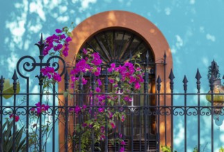 Mazatlan, Mexico, Colorful colonial streets in historic center near Malecon and tourist attractions