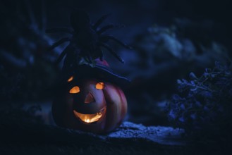 Spider on a glowing pumpkin lantern, mystical Halloween atmosphere