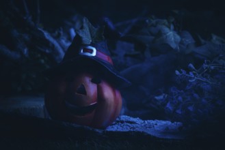 Blue illuminated pumpkin lantern with witch's hat on a dark night