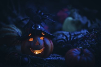 Pumpkin lantern with witch's hat and spider in a dark, mystical setting, Halloween atmosphere