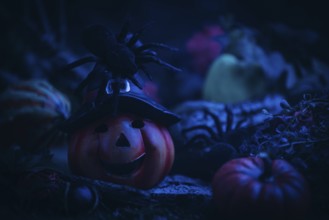 Pumpkin lantern with spider, surrounded by spooky Halloween decorations