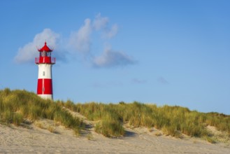 The Lister lighthouse at Ellenbogen, morning light, morning mood, dune, North Sea island, Sylt