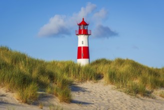 The Lister lighthouse at Ellenbogen, morning light, morning mood, dune, North Sea island, Sylt