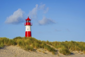 The Lister lighthouse at Ellenbogen, morning light, morning mood, dune, North Sea island, Sylt
