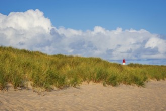 The Lister lighthouse at Ellenbogen, morning light, morning mood, dune, North Sea island, Sylt
