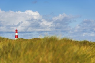 The Lister lighthouse at Ellenbogen, morning light, morning mood, dune, North Sea island, Sylt