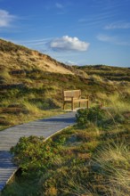 Jetty with bench in the dunes, resting place, North Sea, island, Sylt