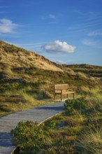 Jetty with bench in the dunes, resting place, North Sea, island, Sylt