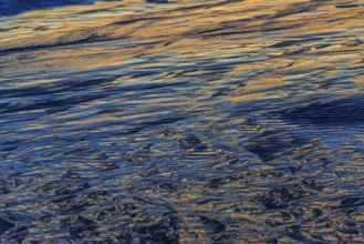 Evening sun reflected in the Wadden Sea at low tide, sun, sea, natural spectacle, Sylt