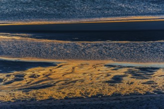 Evening sun reflected in the Wadden Sea at low tide, sun, sea, natural spectacle, Sylt