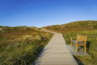 Jetty with bench in the dunes, resting place, North Sea, island, Sylt