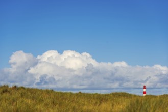 The Lister lighthouse at Ellenbogen, morning light, morning mood, dune, North Sea island, Sylt