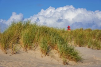 The Lister lighthouse at Ellenbogen, morning light, morning mood, dune, North Sea island, Sylt
