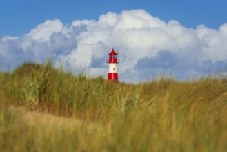 The Lister lighthouse at Ellenbogen, morning light, morning mood, dune, North Sea island, Sylt