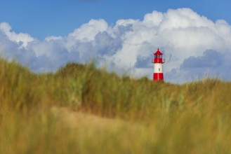 The Lister lighthouse at Ellenbogen, morning light, morning mood, dune, North Sea island, Sylt