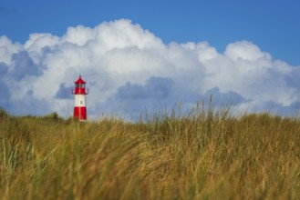 The Lister lighthouse at Ellenbogen, morning light, morning mood, dune, North Sea island, Sylt