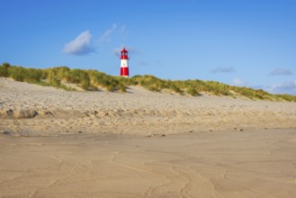 The Lister lighthouse at Ellenbogen, morning light, morning mood, dune, North Sea island, Sylt