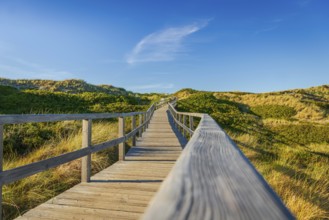Footbridge, path, wooden walkway through the dunes, Sylt