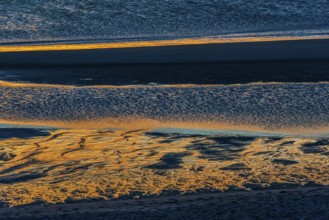 Evening sun reflected in the Wadden Sea at low tide, sun, sea, natural spectacle, Sylt