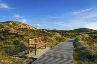 Jetty with bench in the dunes, resting place, North Sea, island, Sylt
