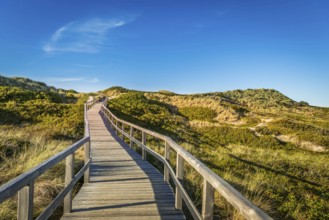 Footbridge, path, wooden walkway through the dunes, Sylt
