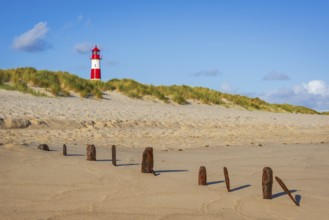 The Lister lighthouse at Ellenbogen, morning light, morning mood, dune, North Sea island, Sylt