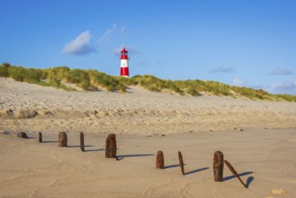 The Lister lighthouse at Ellenbogen, morning light, morning mood, dune, North Sea island, Sylt