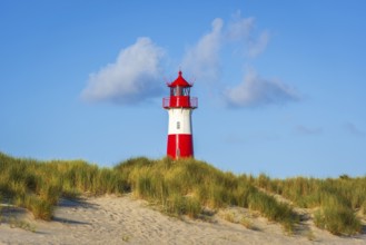 The Lister lighthouse at Ellenbogen, morning light, morning mood, dune, North Sea island, Sylt