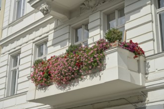 Old building, balcony, geraniums, Winterfeldtstraße, Schöneberg, Tempelhof-Schöneberg, Berlin,