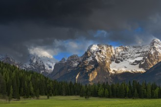 View over a meadow near Misurina to the Sorapis mountain group, Punta Sorapiss, Dolomites, South