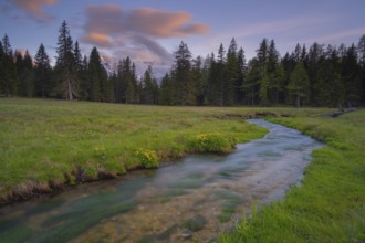 View along the Fiume Ansiei stream over a forest to the Sorapis mountain group in the evening