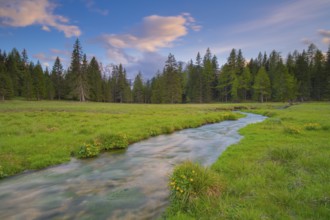 View along the Fiume Ansiei stream over a forest to the Sorapis mountain group in the evening