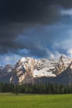 View over a meadow near Misurina to the Sorapis mountain group, Punta Sorapiss, Dolomites, South
