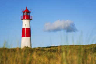 The Lister lighthouse at Ellenbogen, morning light, morning mood, dune, North Sea island, Sylt