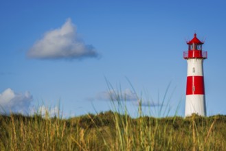 The Lister lighthouse at Ellenbogen, morning light, morning mood, dune, North Sea island, Sylt