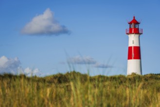 The Lister lighthouse at Ellenbogen, morning light, morning mood, dune, North Sea island, Sylt