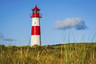 The Lister lighthouse at Ellenbogen, morning light, morning mood, dune, North Sea island, Sylt