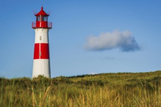 The Lister lighthouse at Ellenbogen, morning light, morning mood, dune, North Sea island, Sylt