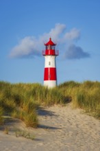 The Lister lighthouse at Ellenbogen, morning light, morning mood, dune, North Sea island, Sylt