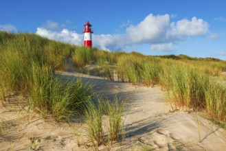 The Lister lighthouse at Ellenbogen, morning light, morning mood, dune, North Sea island, Sylt