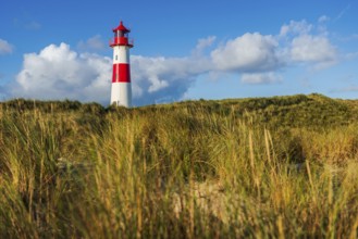 The Lister lighthouse at Ellenbogen, morning light, morning mood, dune, North Sea island, Sylt