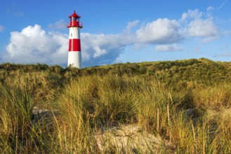 The Lister lighthouse at Ellenbogen, morning light, morning mood, dune, North Sea island, Sylt