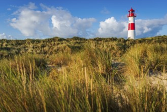 The Lister lighthouse at Ellenbogen, morning light, morning mood, dune, North Sea island, Sylt
