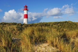 The Lister lighthouse at Ellenbogen, morning light, morning mood, dune, North Sea island, Sylt