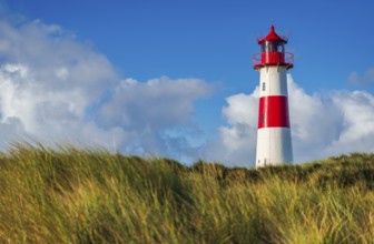 The Lister lighthouse at Ellenbogen, morning light, morning mood, dune, North Sea island, Sylt