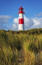 The Lister lighthouse at Ellenbogen, morning light, morning mood, dune, North Sea island, Sylt