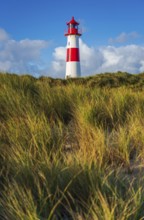 The Lister lighthouse at Ellenbogen, morning light, morning mood, dune, North Sea island, Sylt