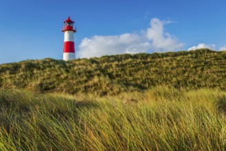 The Lister lighthouse at Ellenbogen, morning light, morning mood, dune, North Sea island, Sylt