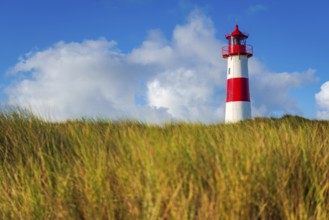 The Lister lighthouse at Ellenbogen, morning light, morning mood, dune, North Sea island, Sylt
